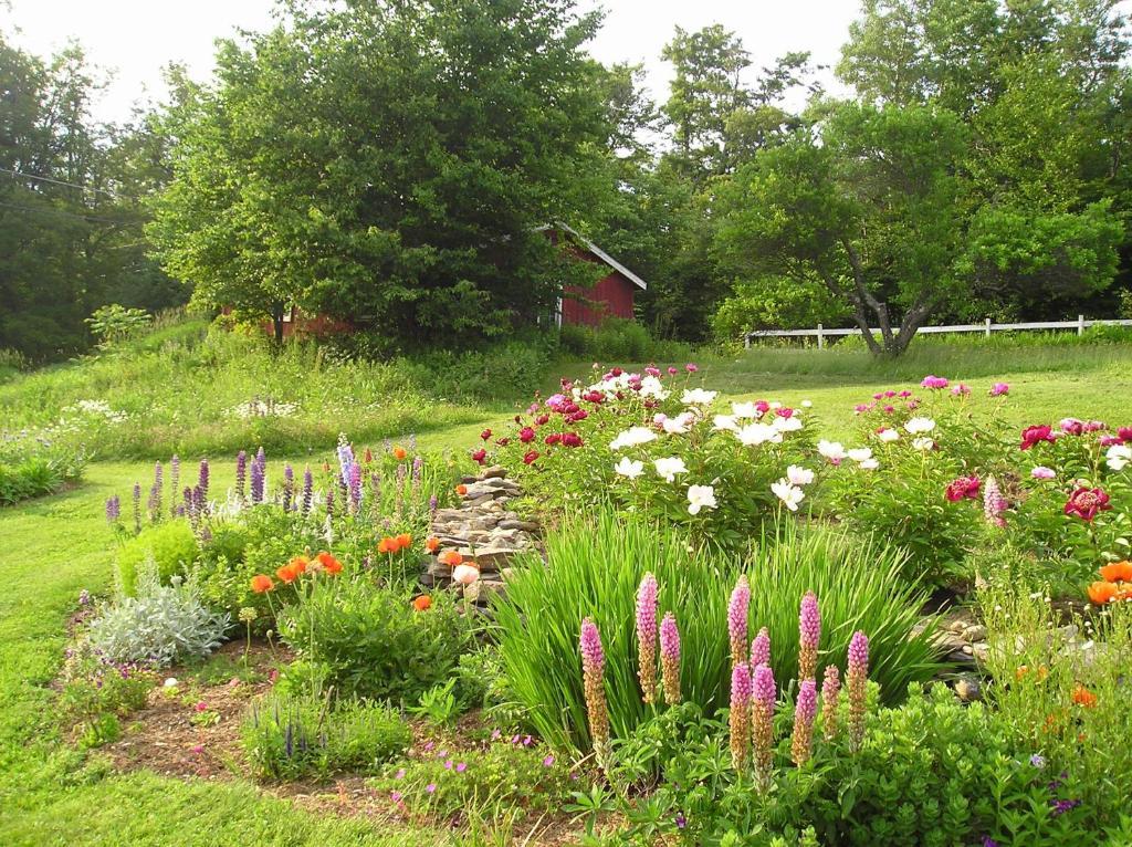 Cooper Hill Inn East Dover Bagian luar foto