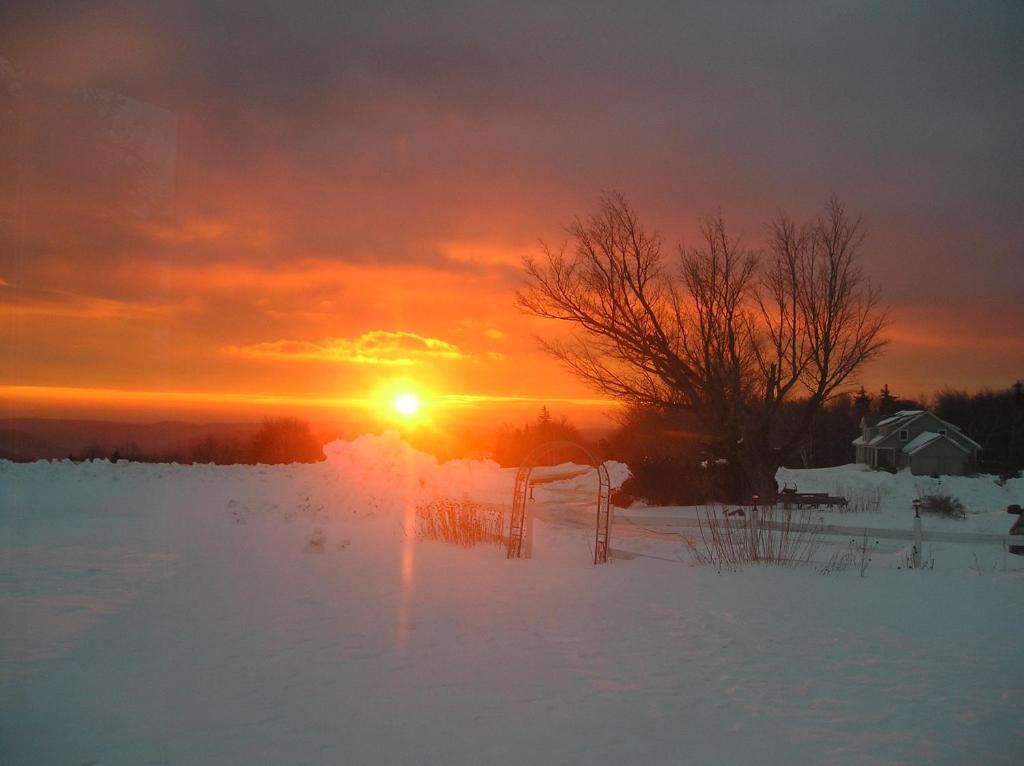 Cooper Hill Inn East Dover Bagian luar foto